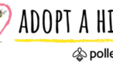 Module 5